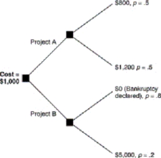 <strong>Consider this decision tree,which represents the outcomes of two alternative projects that Ink,Inc.,a producer of printers,might pursue.Ink,Inc.,needs to borrow $1,000 to pursue either project and is going to sell bonds to finance the venture. Under these circumstances,bondholders and shareholders may have incompatible incentives because:</strong> A) shareholders know that they have limited liability because of their ability to declare bankruptcy. B) bondholders are not profit maximizers. C) shareholders are not profit maximizers. D) bondholders have limited liability because insurance against risk is provided by the federal government. E) shareholders insure bondholders against risk.