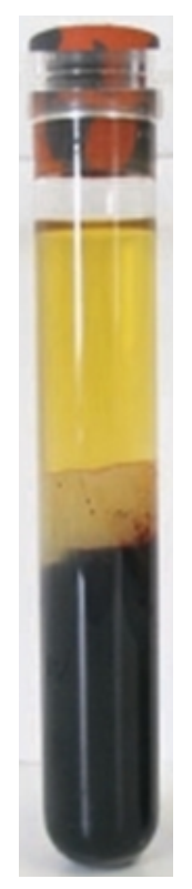 <strong> -The specimen in this image was just removed from the centrifuge and appears</strong> A) hemolyzed B) icteric C) lipemic D) normal