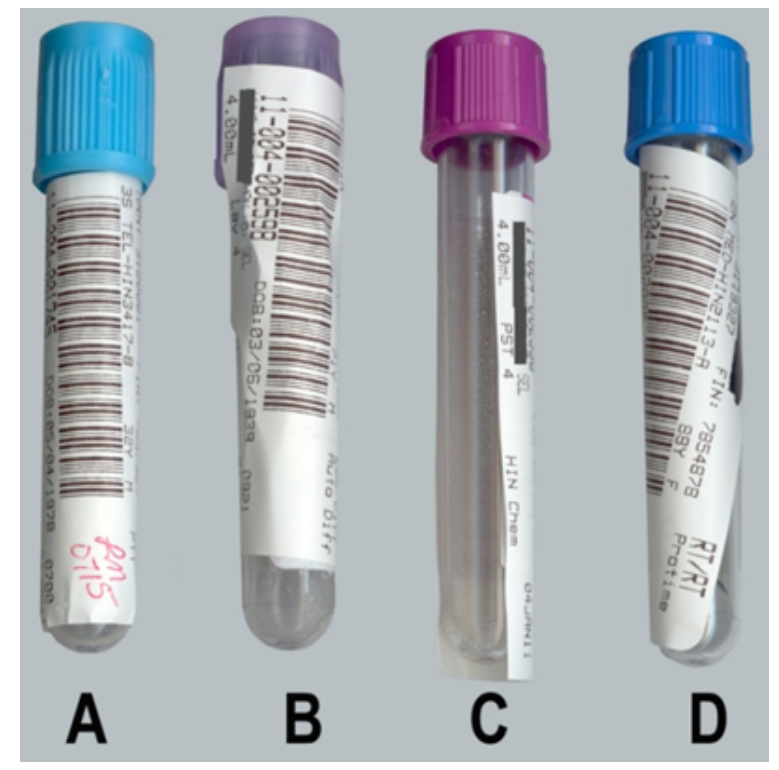 <strong> -Which specimens are labeled properly? (choose all that apply)</strong> A) Image A B) Image B C) Image C D) Image D