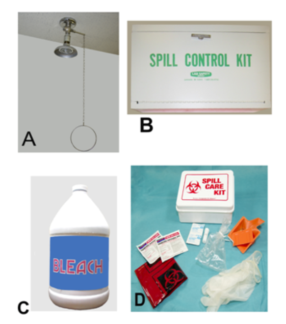 <strong> -While transferring a specimen from the collection container to a transport container for shipping, the phlebotomist spilled some of the specimen on the counter. Which image best represents what should occur next?</strong> A) Image A B) Image B C) Image C D) Image D