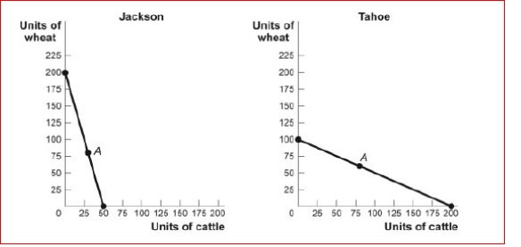 <strong>Figure: The Production Possibility Frontiers for Jackson and Tahoe (Figure: The Production Possibility Frontiers for Jackson and Tahoe) Look at the figure The Production Possibility Frontiers for Jackson and Tahoe.In autarky, Jackson produces and consumes 30 head of cattle and 80 bushels of wheat, while Tahoe produces and consumes 80 head of cattle and 60 bushels of wheat.Assume each nation specializes completely, based on comparative advantage, and the price of 1 head of cattle equals 2 bushels of wheat.If Jackson exports 120 bushels of wheat to Tahoe, Tahoe will export head of cattle to Jackson.</strong> A)120 B)60 C)240 D)200
