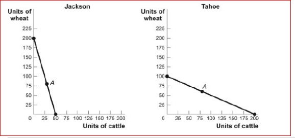 Figure: The Production Possibility Frontiers for Jackson and Tahoe (Figure: The Production Possibility Frontiers for Jackson and Tahoe) Look at the figure The Production Possibility Frontiers for Jackson and Tahoe.In autarky, Jackson produces and consumes 30 head of cattle and 80 bushels of wheat, while Tahoe produces and consumes 80 head of cattle and 60 bushels of wheat.Each nation specializes completely, based on comparative advantage, and the price of 1 head of cattle equals 2 bushels of wheat.If Jackson exports 120 bushels of wheat to Tahoe, then the new consumption point for Tahoe after trade is ________ bushels of wheat and head of cattle. A.120; 140 B.120; 60 C.60; 120 D.400; 200