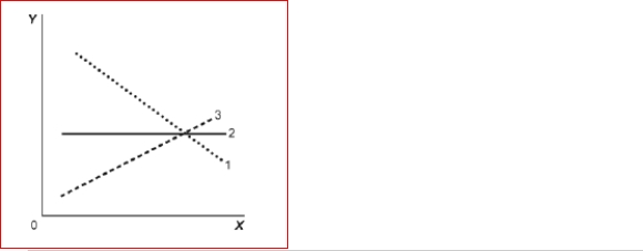 Figure: Illustrating Slope   (Figure: Illustrating Slope) Look at the figure Illustrating Slope.In the graph, line 3 depicts X and Y to be: A.positively related. B.unrelated. C.negatively related. D.both constants.<div style=padding-top: 35px> 