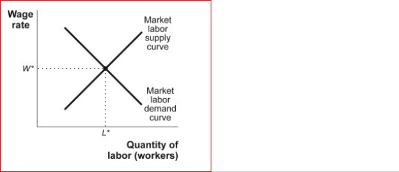 Figure: Equilibrium in the Labor Market (Figure: Equilibrium in the Labor Market) In the figure Equilibrium in the Labor Market, a decrease in population that decreases the number of workers, when everything else stays the same, will lead to a(n) ________ in the equilibrium quantity of labor and a(n) in the equilibrium price of Labor.