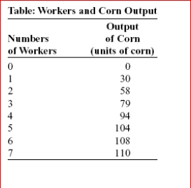     (Table: Workers and Corn Output) Laura is a price-taking farmer who produces corn.The table Workers and Corn Output shows her production function.Suppose Laura acquires more land and as a result the output that can be produced by any given number of workers doubles.If the wage is $130 and the price per bushel of corn is $10, Laura should hire workers to maximize Profits.
