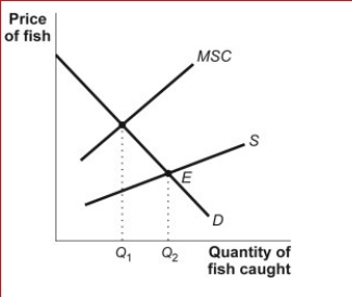 Figure: Marginal Social Cost and Supply (Figure: Marginal Social Cost and Supply) In the figure Marginal Social Cost and Supply, the marginal social cost curve lies above the supply curve: