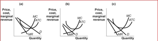 Figure: Monopolistic Competition II (Figure: Monopolistic Competition II) Which of the panels in the figure Monopolistic Competition II shows a monopolistic competitor earning a profit in the short run?