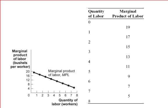 <strong>Figure: The Marginal Product of Labor (Figure: The Marginal Product of Labor) Look at the figure The Marginal Product of Labor.The total product of labor for five workers is:</strong> A)11 bushels. B)45 bushels. C)55 bushels. D)75 bushels.