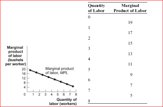 <strong>Figure: The Marginal Product of Labor (Figure: The Marginal Product of Labor) Look at the figure The Marginal Product of Labor.The total product of labor for eight workers is:</strong> A)40 bushels. B)35 bushels. C)96 bushels. D)75 bushels.