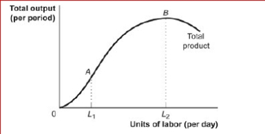 <strong>Figure: The Total Product (Figure: The Total Product) Look at the figure The Total Product.Between points A and B the marginal product of labor is:</strong> A)increasing. B)zero. C)falling. D)infinite.