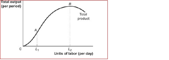 <strong>Figure: The Total Product (Figure: The Total Product) Look at the figure The Total Product.Labor added L1 and up to L2 is:</strong> A)subject to diminishing marginal returns. B)adding increasing amounts to total product. C)adding negative amounts to total product. D)adding negative amounts to total product and are subject to diminishing marginal returns.