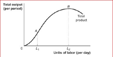 <strong>Figure: The Total Product (Figure: The Total Product) Look at the figure The Total Product.As labor is hired between L1 and L2, the ________ is ________ and the ________ is _.</strong> A)total product; rising; marginal product; positive B)marginal product; zero; total product; falling .C.total product; rising; marginal product; negative .D.total product; rising; marginal product; zero