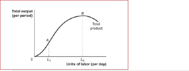 <strong>Figure: The Total Product (Figure: The Total Product) Look at the figure The Total Product.For hiring labor between zero and L1, which of the following statements is true?</strong> A)The marginal product of labor is increasing. B)The marginal product of labor is decreasing. C)The total product is increasing at a diminishing rate. D)The total product is decreasing.