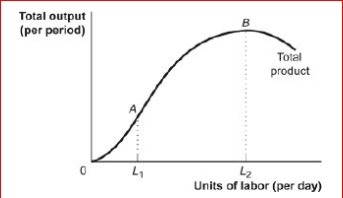 <strong>Figure: The Total Product (Figure: The Total Product) Look at the figure The Total Product.When L2 labor is hired, the total product is at a ________and the marginal product of labor is _.</strong> A)minimum; zero B)maximum; zero C)maximum; positive D)minimum; falling but still positive