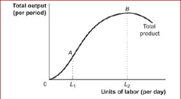<strong>Figure: The Total Product (Figure: The Total Product) Look at the figure The Total Product.If after hiring L2 labor, the firm hires more labor, the total product will ________ because the marginal product of labor is _.</strong> A)decrease; positive B)increase; positive C)decrease; negative D)increase; negative