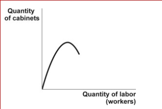 <strong>Figure: The Unknown Curve (Figure: The Unknown Curve) Look at the figure The Unknown Curve.You are a cabinetmaker who employs several workers to produce kitchen and bathroom cabinets.Your summer intern has created a graph showing a relationship between the number of cabinetmakers you employ and the number of cabinets produced.Unfortunately, your intern has failed to identify this curve.It is likely to be the ________ curve:</strong> A)total cost B)total product C)marginal product D)total variable cost