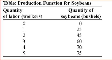 <strong> (Table: Production Function for Soybeans) The table shows a production function for soybeans.Assume that the fixed input, capital, is 10 acres of land and a tractor, which have a combined cost of $150 per day.The cost of labor is $100 per worker per day.The variable cost of producing 60 bushels of soybeans is:</strong> A)$5 B)$100 C)$150 D)$300