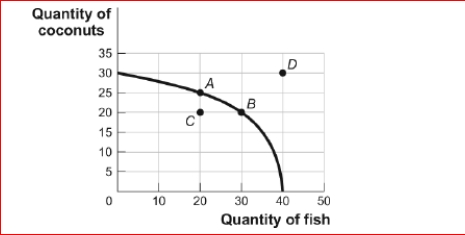 <strong>Figure: Tom's Production Possibilities (Figure: Tom's Production Possibilities) Look at the figure Tom's Production Possibilities.In the figure, which point or points represent a combination of coconuts and fish not feasible for Tom to produce at this time?</strong> A)A only B)A and B C)B and C D)D only