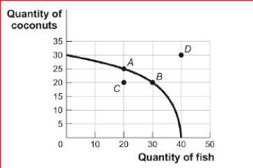 Figure: Tom's Production Possibilities (Figure: Tom's Production Possibilities) Look at the figure Tom's Production Possibilities.In the figure, the opportunity cost for Tom to move from point A on the curve to point B is: A.10 coconuts. B.10 fish. C.5 coconuts. D.5 fish.