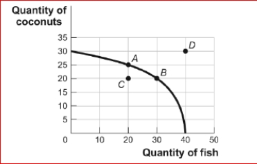 Figure: Tom's Production Possibilities (Figure: Tom's Production Possibilities) Look at the figure Tom's Production Possibilities.In the figure, the opportunity cost for Tom to move from point C on the curve to point A is: A.10 coconuts. B.30 fish. C.5 coconuts. D.There is no opportunity cost in terms of fish.