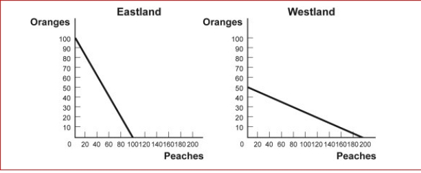 Figure: Comparative Advantage Eastland and Westland produce only two goods, boxes of peaches and boxes of oranges, and this figure shows each nation's production possibility frontier for the two goods. (Figure: Comparative Advantage) Look at the figure Comparative Advantage.Westland has an absolute advantage in producing: A.oranges only. B.peaches only. C.both oranges and peaches. D.neither oranges or peaches.