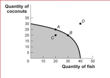 Figure: Production Possibilities and Circular-Flow Diagram        (Figure: Production Possibilities and Circular-Flow Diagram) Look at the figure Production Possibilities and Circular-Flow Diagram.Assume the two figures represent the same economy.Suppose that in the circular-flow diagram there is a significant decrease in the amount of labor flowing to the firms that produce coconuts.If all other variables remain unchanged, this adjustment in the economy would be best represented in the production possibilities figure by a move from point A toward:  A.point A (no movement would occur). B.point B (an increase in fish production). C.point C (a decrease in coconut production). D.point D (an outward shift of the entire curve).