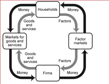 Figure: Production Possibilities and Circular-Flow Diagram        (Figure: Production Possibilities and Circular-Flow Diagram) Look at the figure Production Possibilities and Circular-Flow Diagram.Assume the two figures represent the same economy.Suppose that in the circular-flow diagram there is a significant decrease in the amount of labor flowing to the firms that produce coconuts.If all other variables remain unchanged, this adjustment in the economy would be best represented in the production possibilities figure by a move from point A toward:  A.point A (no movement would occur). B.point B (an increase in fish production). C.point C (a decrease in coconut production). D.point D (an outward shift of the entire curve).