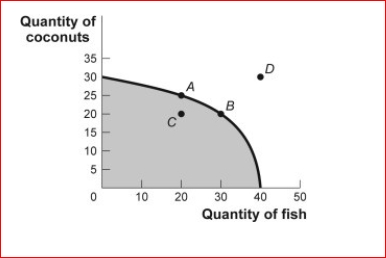 Figure: Production Possibilities and Circular-Flow Diagram (Figure: Production Possibilities and Circular-Flow Diagram) Look at the figure Production Possibilities and Circular-Flow Diagram.Assume the two figures represent the same economy.Suppose that in the circular-flow diagram there is a significant increase in the amount of human capital that flows to both types of firms (coconut producers and fish producers).If all other variables remain unchanged, then the adjustment in this economy would be best represented in the production possibilities figure by a movement from point A toward: A.point A (no movement would occur). B.point B (an increase in fish production). C.point C (a decrease in coconut production). D.point D (an outward shift of the entire curve).