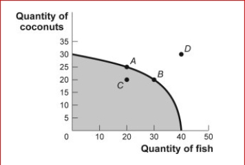 Figure: Production Possibilities and Circular-Flow Diagram (Figure: Production Possibilities and Circular-Flow Diagram) Look at the figure Production Possibilities and Circular-Flow Diagram.Assume the two figures represent the same economy.Suppose that in the circular-flow diagram a significant increase in productivity occurs inside most of the firms.This results in a significant increase in the output of both coconuts and fish.If all other variables remain unchanged, then the adjustment in this economy would be best represented in the production possibilities figure by a movement from point A toward: A.point A (no movement would occur). B.point B (an increase in fish production). C.point C (a decrease in coconut production). D.point D (an outward shift of the entire curve).