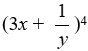 <strong>Expand using the binomial theorem.</strong> A) 81x<sup>4</sup> + 108(x<sup>3</sup>y) + 54(x<sup>2</sup>y<sup>2</sup>) + 12(xy<sup>3</sup>) + 1y<sup>4</sup> B) 81x<sup>4</sup> + 108(x<sup>3</sup>/y) + 54(x<sup>2</sup>/y<sup>2</sup>) + 12(x/y<sup>3</sup>) + 1/y<sup>4</sup> C) x<sup>4</sup> + 12(x<sup>3</sup>/y) + 54(x<sup>2</sup>/y<sup>2</sup>) + 108(x/y<sup>3</sup>) + 12/y<sup>4</sup> D) 81x<sup>4</sup> + 27(x<sup>3</sup>/y) + 9(x<sup>2</sup>/y<sup>2</sup>) + 3(x/y<sup>3</sup>) + 1/y<sup>4</sup>
