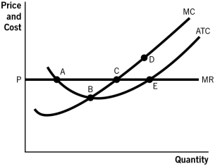 <strong>Refer to the accompanying figure.Point _________ corresponds to the profit-maximizing quantity that a competitive firm would produce. </strong> A)A B)B C)C D)D E)E