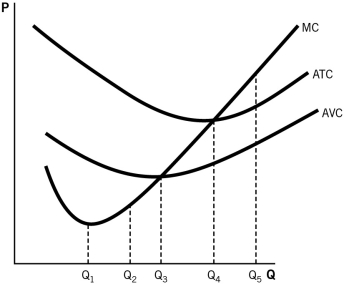 <strong>Refer to the accompanying graph to answer the questions that follow.   If the firm depicted in the graph had to pay higher rent to its landlord,we would expect its __________ curve to shift __________.</strong> A)average total cost (ATC); down B)average variable cost (AVC); down C)average total cost (ATC); up D)marginal cost (MC); up E)average variable cost (AVC); up <div style=padding-top: 35px> 