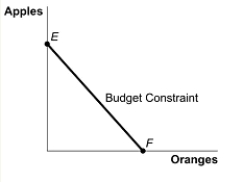 <strong>This figure shows a consumer's budget constraint for apples (vertical axis)and oranges (horizontal axis).If the price of oranges increases,how is the budget constraint affected? </strong> A) The budget constraint shifts inward. B) The budget constraint does not change. C) The vertical intercept E decreases and the horizontal intercept F remains the same,making the budget constraint flatter. D) The vertical intercept E is unchanged and the horizontal intercept F decreases,making the budget constraint steeper.