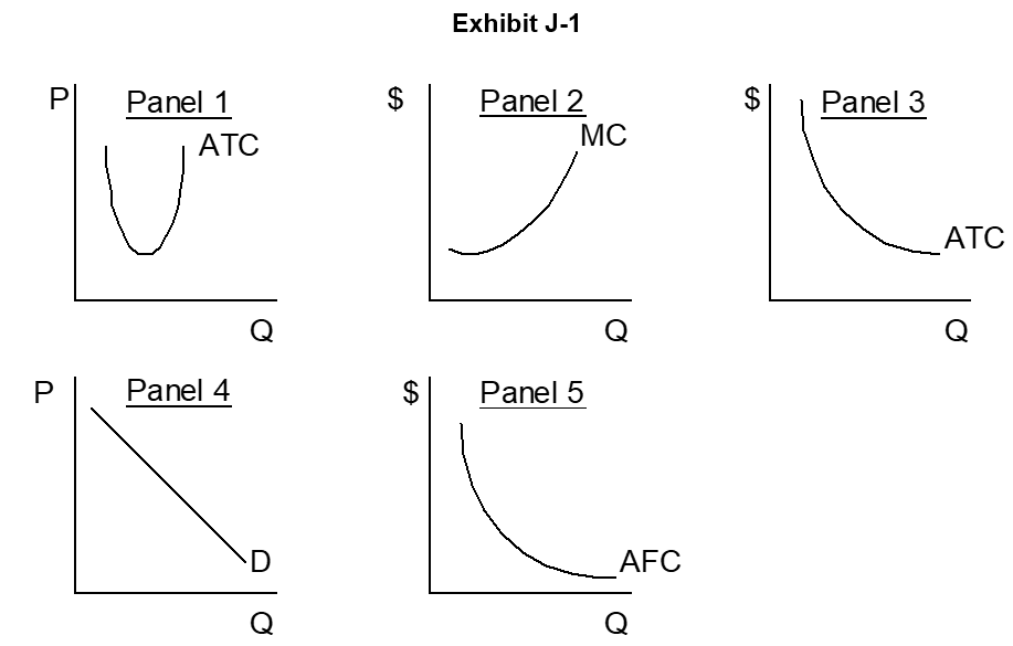 <strong> -A firm operating as a natural monopoly would be most likely identified by which panel inExhibit J-1?</strong> A) Panel 1 B) Panel 2 C) Panel 3 D) Panel 4 E) Panel 5