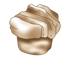 <strong>Identify the type of roll shown in each picture. - </strong> A) Croissant B) Brioche C) Cloverleaf roll D) Butterflake roll E) Danish pockets