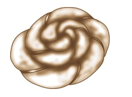 <strong>Identify the type of roll shown in each picture. - </strong> A) Croissant B) Brioche C) Cloverleaf roll D) Butterflake roll E) Spiral Danish roll