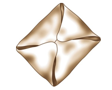 <strong>Identify the type of roll shown in each picture. - </strong> A) Croissant B) Brioche C) Cloverleaf roll D) Butterflake roll E) Danish pockets
