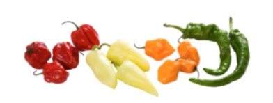 <strong>Identify the vegetable shown in the picture. </strong> A) Onions B) Radishes C) Hot pepper varieties D) Shallots