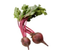 <strong>Identify the vegetable shown in the picture. </strong> A) Shallots B) Kohlrabi C) Radishes D) Red beets