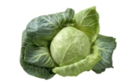 <strong>Identify the vegetable shown in the picture. </strong> A) Lettuce B) Green cabbage C) Kale D) Acorn squash