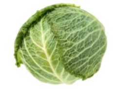 <strong>Identify the vegetable shown in the picture. </strong> A) Celery root B) Bok choy C) Savoy cabbage D) Kale