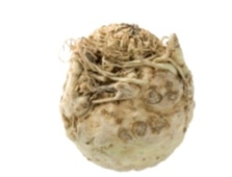 <strong>Identify the vegetable shown in the picture. </strong> A) Chayote B) Artichoke C) Salsify D) Celery root
