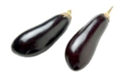 <strong>Identify the vegetable shown in the picture. </strong> A) Salsify B) Red onion C) Italian eggplant D) Fennel