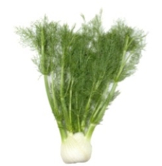<strong>Identify the vegetable shown in the picture. </strong> A) Daikon B) Bok choy C) Kale D) Fennel