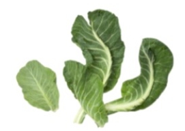 <strong>Identify the vegetable shown in the picture. </strong> A) Kale B) Lettuce C) Collard greens D) Bok choy
