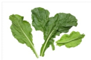 <strong>Identify the vegetable shown in the picture. </strong> A) Kale B) Lettuce C) Turnip greens D) Bok choy