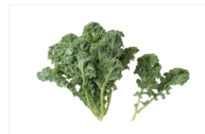 <strong>Identify the vegetable shown in the picture. </strong> A) Kale B) Lettuce C) Turnip greens D) Bok choy