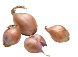 Identify the vegetable shown in the picture.  
