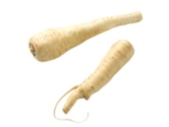 Identify the vegetable shown in the picture.  