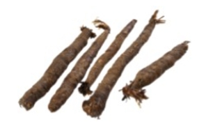 Identify the vegetable shown in the picture.  